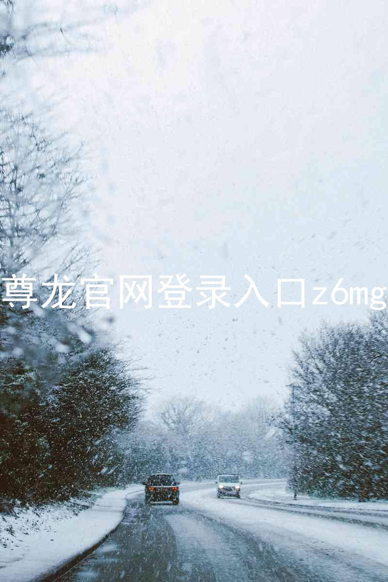 尊龙官网登录入口z6mg