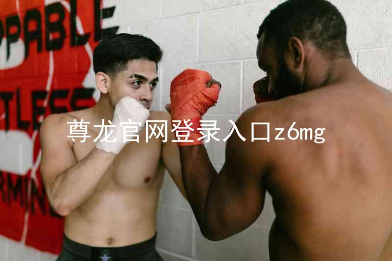 尊龙官网登录入口z6mg